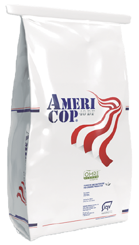 iqv matholding group