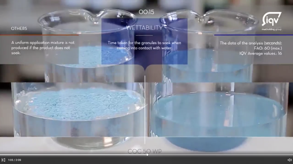 iqv matholding group