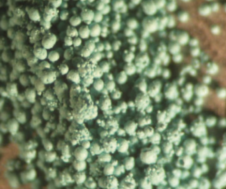 iqv matholding group