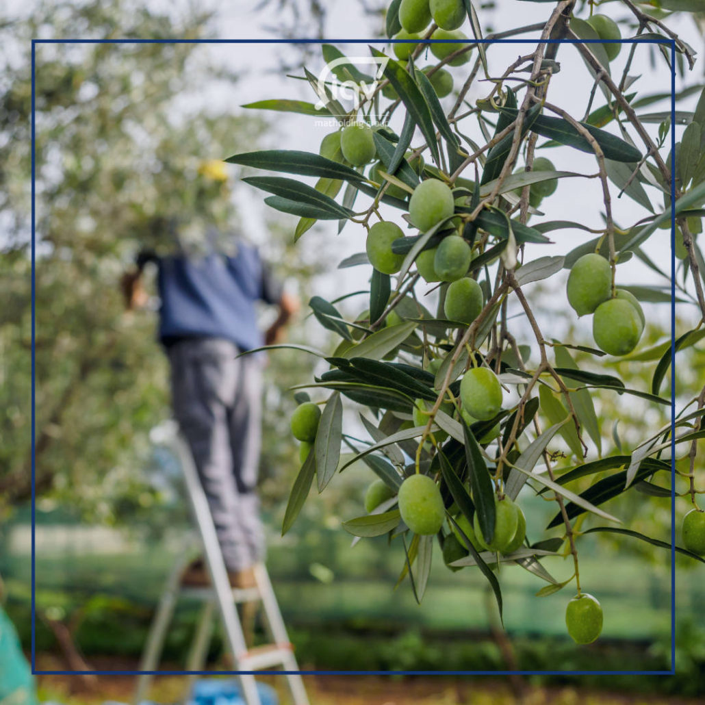 Fungicide products - iqv matholding group