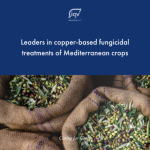 Sustainable agricultural production - iqv matholding group