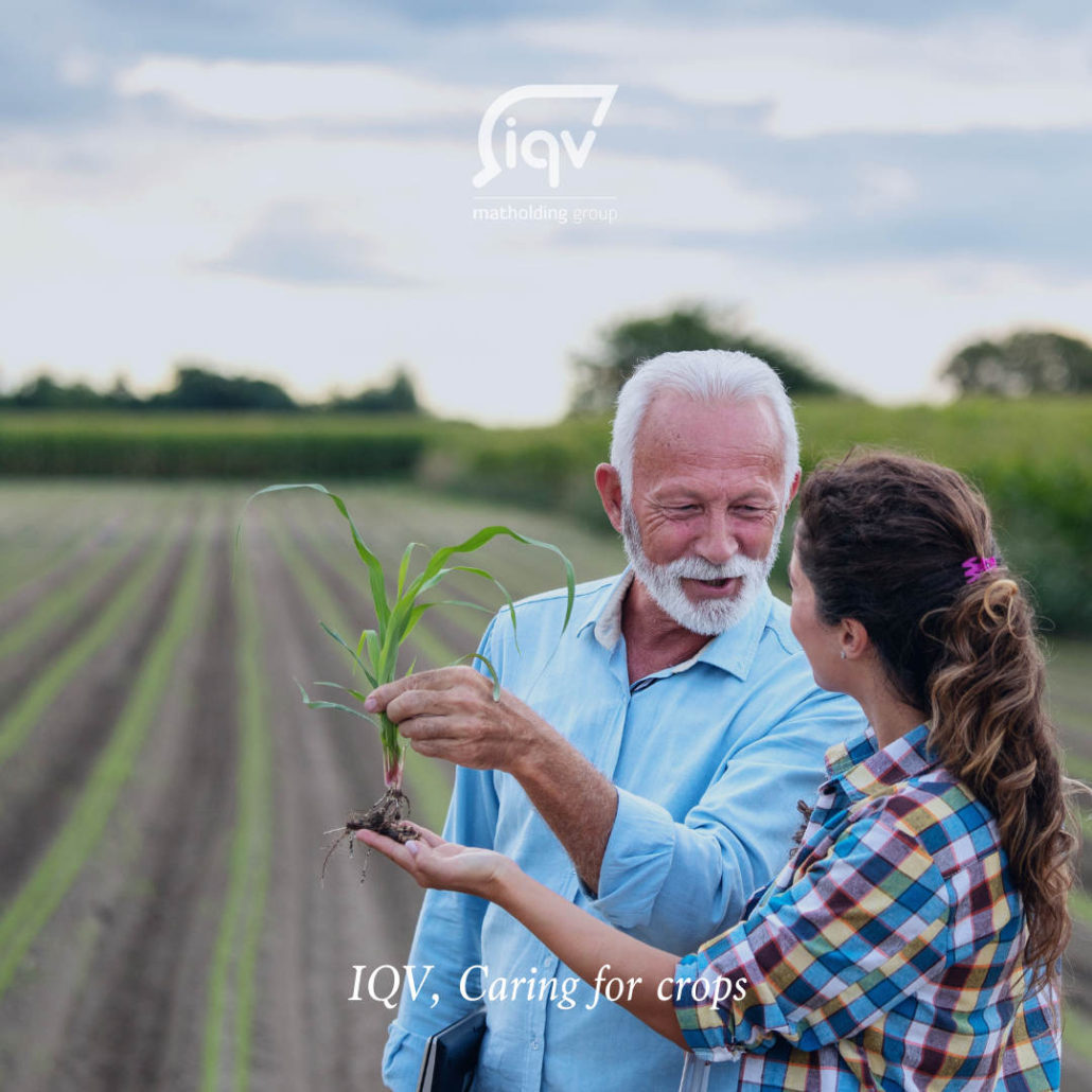 Farmworker Appreciation Day - iqv matholding group