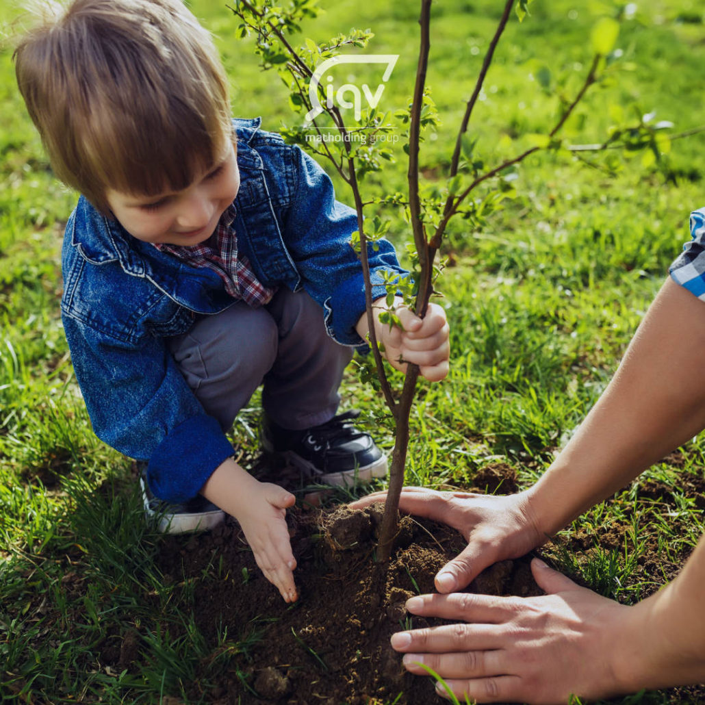 Copper salts - iqv matholding group