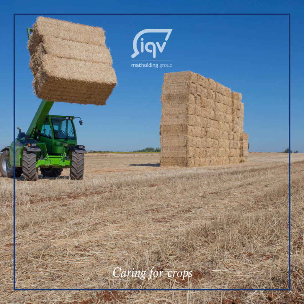 World Agriculture Day - iqv matholding group