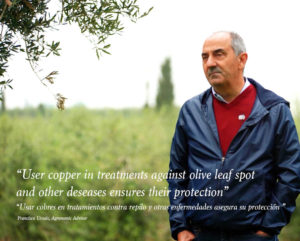 Francisco Urzaíz - iqv matholding group