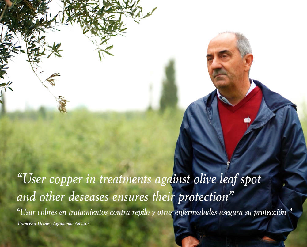 Francisco Urzaíz - iqv matholding group