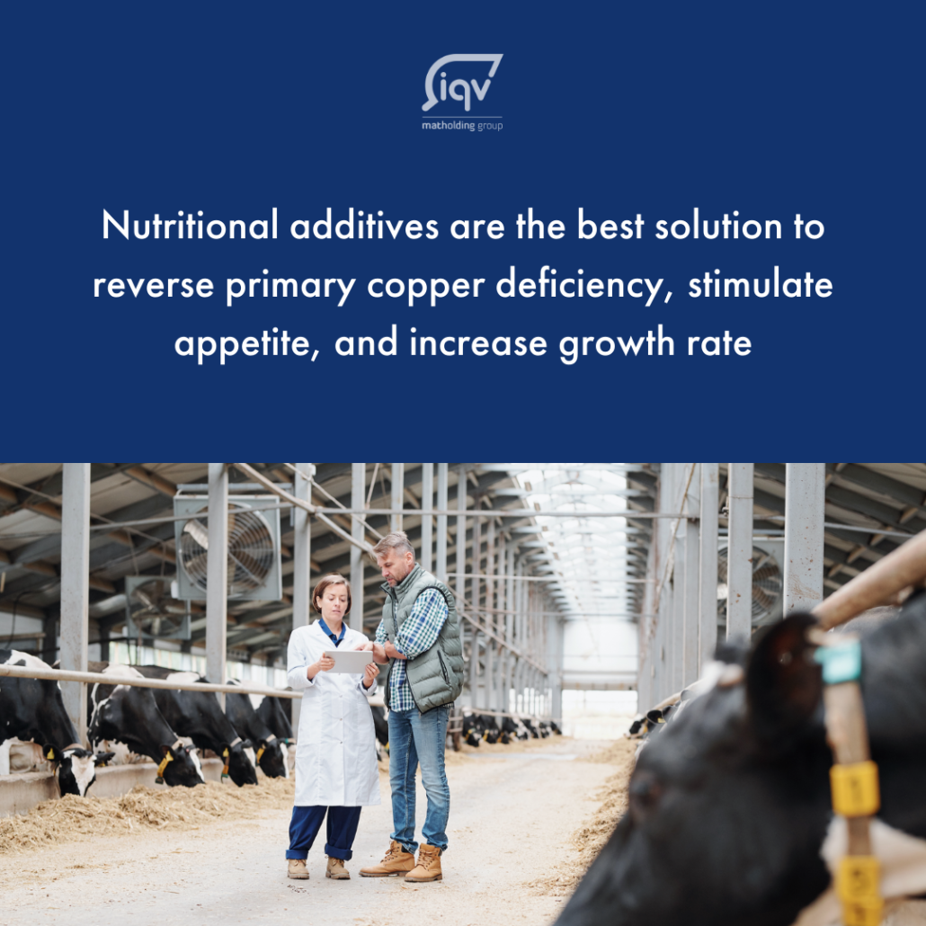 Copper salts - iqv matholding group