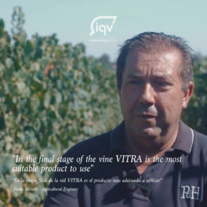 Paulo Mendes - iqv matholding group