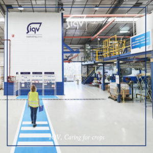 IQV aliado estratégico y partner